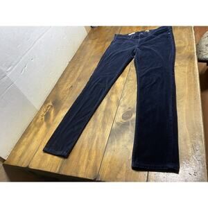 Anthropologie Pilcro Demilune Boot Pants Women’s Velvet Navy Mid Rise 30